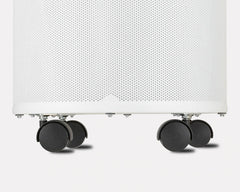H600 - Allergy and Asthma Relief
