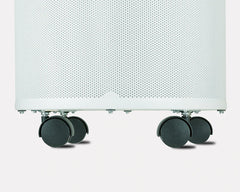 H600 - Allergy and Asthma Relief
